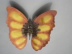 Orange and gold butterfly