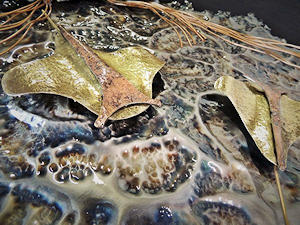 Close-up of the 'Oceanic' sculpture, by Gilbert McCann